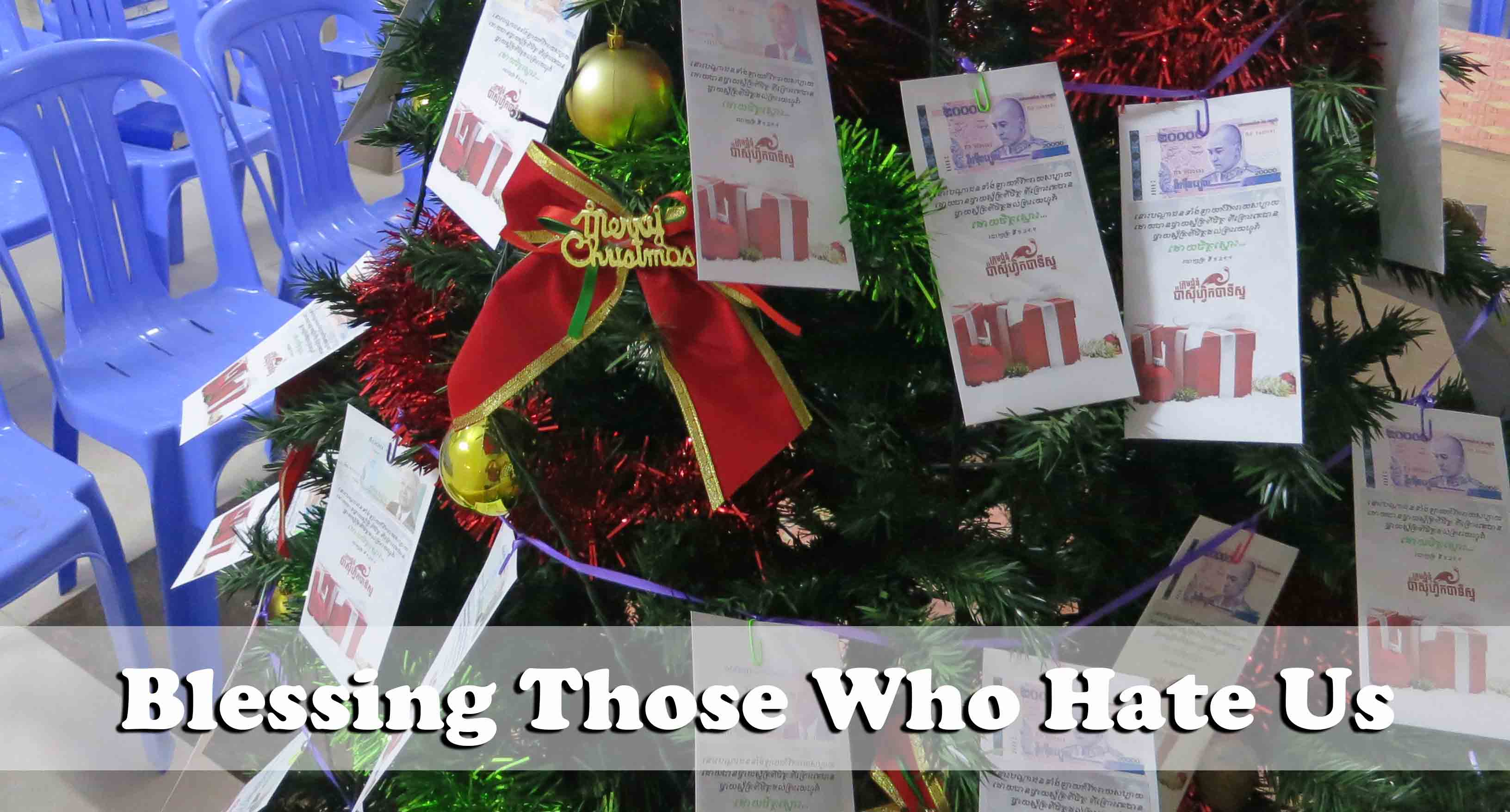 12-5-16-cow-offering-2016